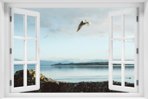 Fototapeta Naklejka Na Ścianę Okno 3D - Seagull Flying on Lake Water Pleasant View of Nature