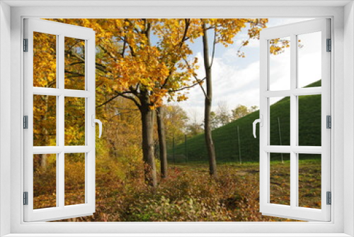 Fototapeta Naklejka Na Ścianę Okno 3D - Herbst im Park am Berg