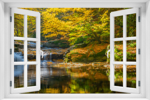 Fototapeta Naklejka Na Ścianę Okno 3D - The idea of being in nature and the waterfall flowing through the trees decorated with autumn colors the rocks calmness peace and happiness