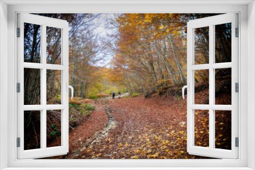 Fototapeta Naklejka Na Ścianę Okno 3D - A path through the forest full of colors in autumn on Jablanica mountain

