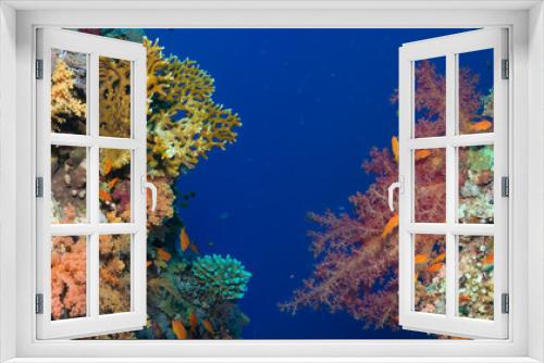 Fototapeta Naklejka Na Ścianę Okno 3D - Colorful underwater reef with coral and sponges