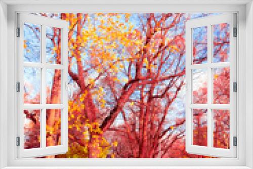 Fototapeta Naklejka Na Ścianę Okno 3D - Woods Landscape Idyllic Nature