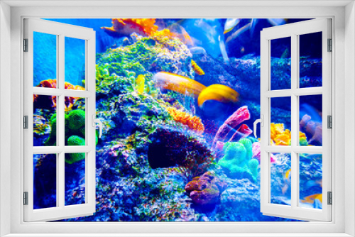 Fototapeta Naklejka Na Ścianę Okno 3D - Singapore aquarium