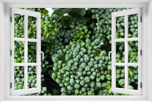 Fototapeta Naklejka Na Ścianę Okno 3D - Fresh broccoli texture,close up