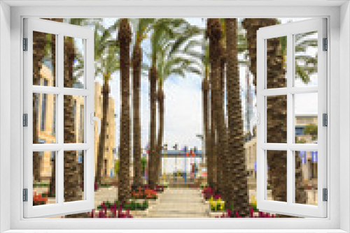 Fototapeta Naklejka Na Ścianę Okno 3D - Palm alley