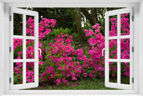 Fototapeta Naklejka Na Ścianę Okno 3D - gardens of ninfa