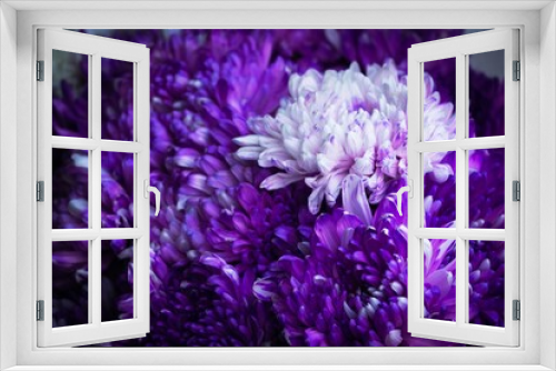 Fototapeta Naklejka Na Ścianę Okno 3D - A bunch of purple and white flowers with a purple flower in the middle