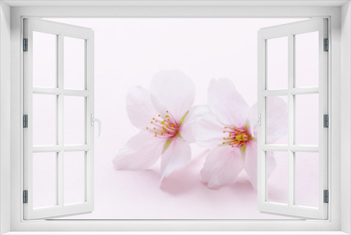 Fototapeta Naklejka Na Ścianę Okno 3D - 桜のイメージ