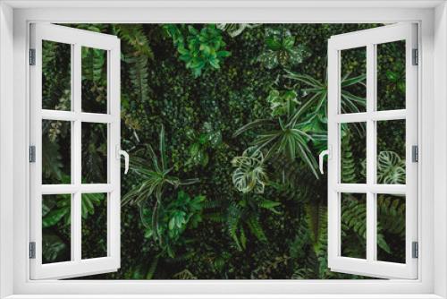 Fototapeta Naklejka Na Ścianę Okno 3D - abstract green leaf texture, tropical leaf foliage nature dark green background