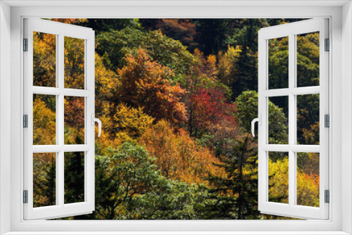 Fototapeta Naklejka Na Ścianę Okno 3D - Colorful Autumn Leaves
