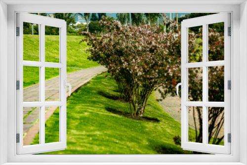 Fototapeta Naklejka Na Ścianę Okno 3D - Caminando por el jardín, con arbusto podado