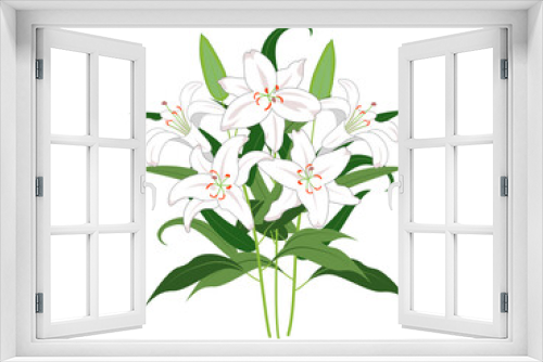 Fototapeta Naklejka Na Ścianę Okno 3D - 枝葉付きの白いユリの花