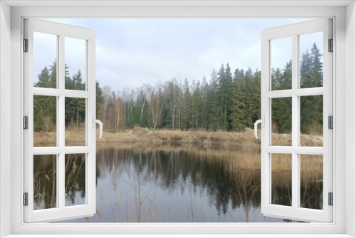 Fototapeta Naklejka Na Ścianę Okno 3D - Small pond in forest in Siauliai county during cloudy early spring day. Oak and birch tree woodland. cloudy day with white clouds in blue sky. Bushes are growing in woods. Nature. Miskas.	
