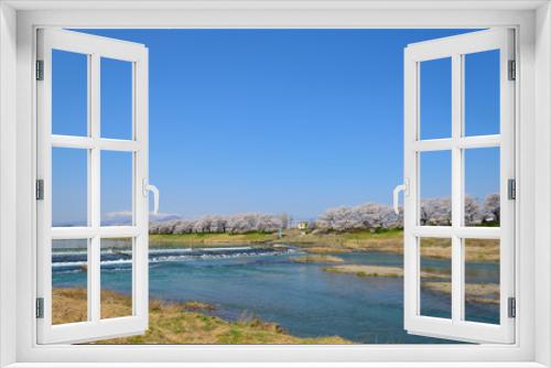 Fototapeta Naklejka Na Ścianę Okno 3D - Cherry blossoms along Shiroishi river (Shiroishigawa tsutsumi Se