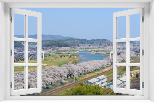 Fototapeta Naklejka Na Ścianę Okno 3D - Cherry blossoms along Shiroishi river (Shiroishigawa tsutsumi Se