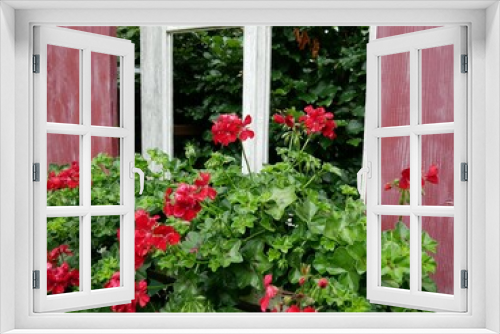 Fototapeta Naklejka Na Ścianę Okno 3D - window with flowers