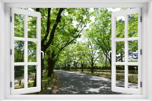 Fototapeta Naklejka Na Ścianę Okno 3D - 新緑の並木道