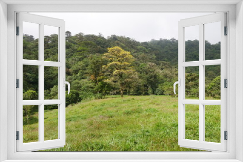Fototapeta Naklejka Na Ścianę Okno 3D - Weide und Regenwald in El Valle de Antón in Panama