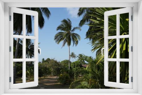 Fototapeta Naklejka Na Ścianę Okno 3D - Enrich your design with exotic imagery on Adobe Stock. Palms, nature, tropics, vacation. Take your projects to the next level