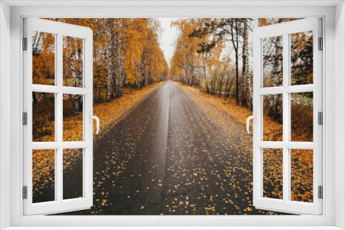 Fototapeta Naklejka Na Ścianę Okno 3D - A treelined road with leaves scattered on the ground in a natural landscape