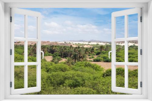 Fototapeta Naklejka Na Ścianę Okno 3D - Oasis near  Viana desert, Boavista - Cape Verde