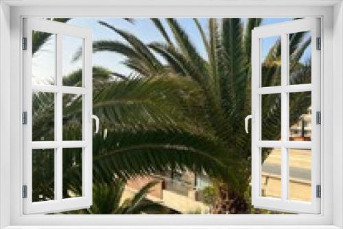 Fototapeta Naklejka Na Ścianę Okno 3D - palm tree in the beach
