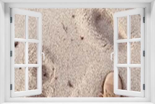 Fototapeta Naklejka Na Ścianę Okno 3D - feet on sand