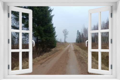 Fototapeta Naklejka Na Ścianę Okno 3D - Road in forest in Siauliai county during cloudy early spring day. Oak and birch tree woodland. cloudy day with white clouds in blue sky. Bushes are growing in woods. Sandy road. Nature. Miskas.	