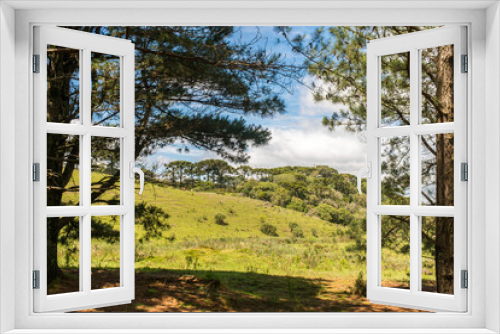 Fototapeta Naklejka Na Ścianę Okno 3D - A view of Ronda Municipal Park in Sao Francisco de Paula, South of Brazil