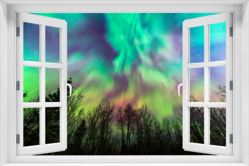 Fototapeta Naklejka Na Ścianę Okno 3D - Beautiful northern lights over dark forest; Aurora Borealis display