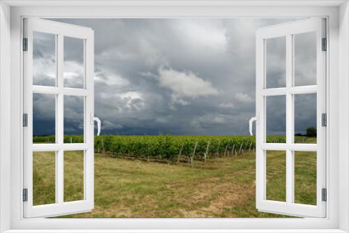 Fototapeta Naklejka Na Ścianę Okno 3D - Ciel orageux avec gros nuage et paysage viticole 