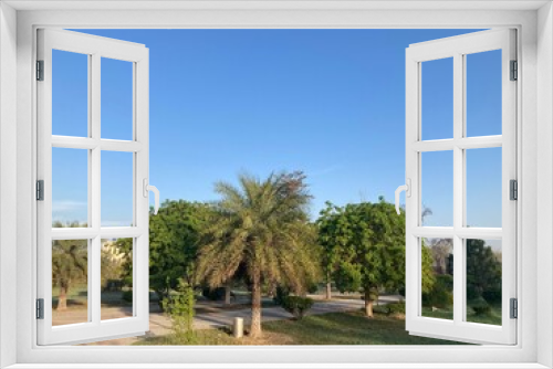 Fototapeta Naklejka Na Ścianę Okno 3D - palm trees in the garden