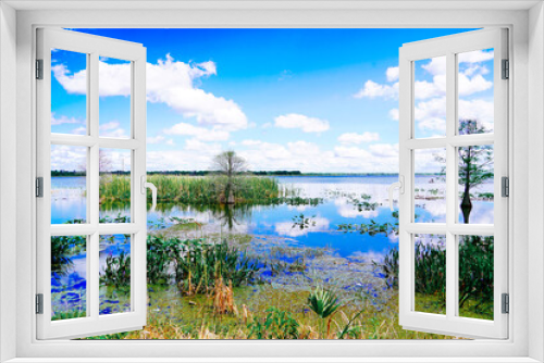 Fototapeta Naklejka Na Ścianę Okno 3D - The landscape of Lake parker in Lakeland, Florida, USA
