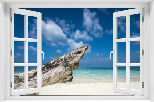 Fototapeta Naklejka Na Ścianę Okno 3D - Deadwood on white sand beach of paradise island