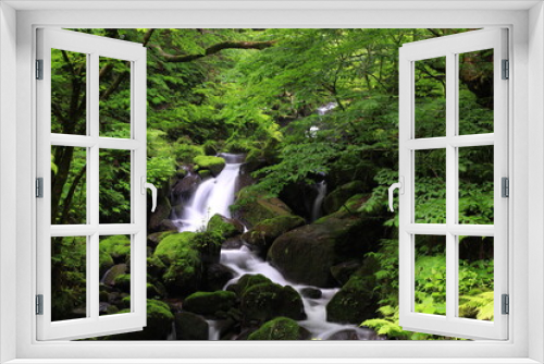Fototapeta Naklejka Na Ścianę Okno 3D - 鳥取県の雨滝、栗やブナの木々の間にある玄武岩の崖から流れ落ちる滝