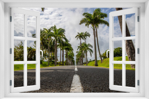 Fototapeta Naklejka Na Ścianę Okno 3D - The famous Pallem allee l’Allée Dumanoir. Landscape shot from the middle of the street into the avenue. Taken on a changeable day.Grand Terre, Guadeloupe, Caribbean