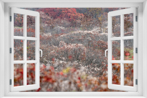 Fototapeta Naklejka Na Ścianę Okno 3D - I colori del Carso