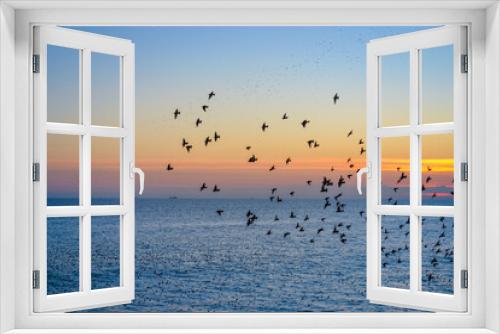 Fototapeta Naklejka Na Ścianę Okno 3D - Starlings gather into flocks in flight before sunset