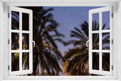 Fototapeta Naklejka Na Ścianę Okno 3D - beautiful coastal view with palm trees at tropical destination, sunset in exotic tourism location