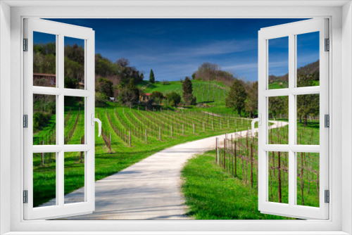 Fototapeta Naklejka Na Ścianę Okno 3D - Vineyards near Conegliano, Italy. 
Conegliano and Valdobbiadene, the way of the Prosecco wine.