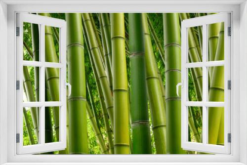 Fototapeta Naklejka Na Ścianę Okno 3D - Dense Bamboo Jungle