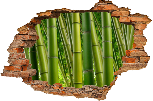 Dense Bamboo Jungle