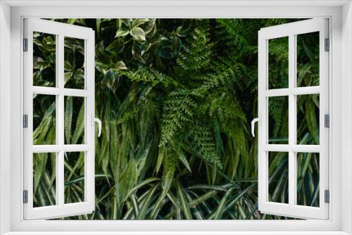Fototapeta Naklejka Na Ścianę Okno 3D - Group of dark green tropical leaves background, Nature Lush Foliage Leaf Texture, tropical leaf