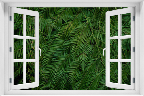 Fototapeta Naklejka Na Ścianę Okno 3D - 重なり合う緑の葉