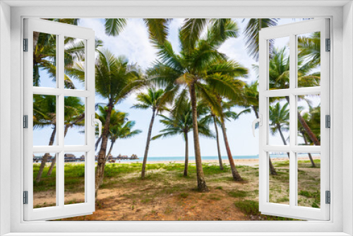 Fototapeta Naklejka Na Ścianę Okno 3D - Beautiful view of coconut grove at Gaolong Bay beach in Wenchang, Hainan, China