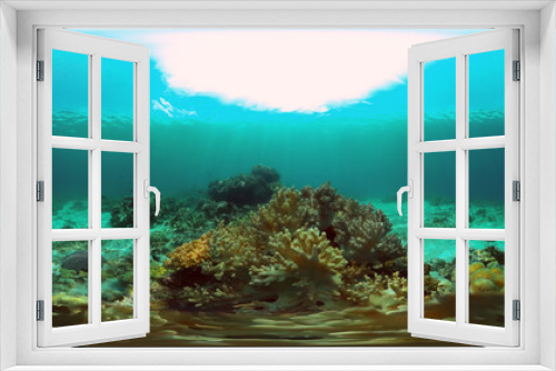Fototapeta Naklejka Na Ścianę Okno 3D - Tropical underwater sea fish. Colourful tropical coral reef. Scene reef. Philippines. Virtual Reality 360.