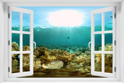 Fototapeta Naklejka Na Ścianę Okno 3D - Underwater scene coral reef. Hard and soft corals, underwater landscape. Travel vacation concept. Philippines. Virtual Reality 360.