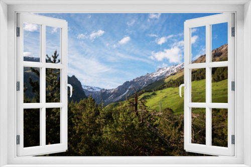 Fototapeta Naklejka Na Ścianę Okno 3D - Bizarrely curved pine branches of old trees in the mountains against the backdrop of a mountain landscape summer time.