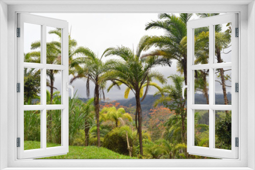 Fototapeta Naklejka Na Ścianę Okno 3D - Landscape in the Turrialba region of Costa Rica