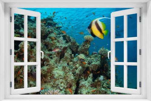 Fototapeta Naklejka Na Ścianę Okno 3D - Underwater landscape with a bannerfish and divers in the background